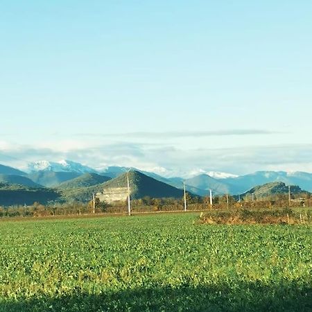 T3 Au Pied Des Pyrenees Appartement Pointis-de-Riviere Buitenkant foto