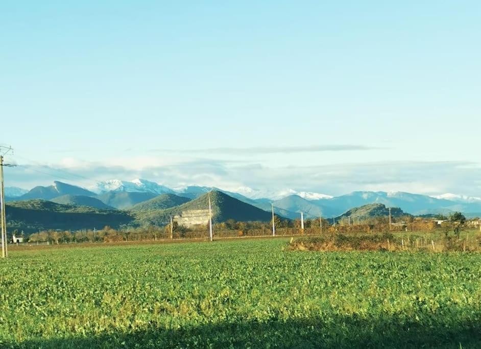 T3 Au Pied Des Pyrenees Appartement Pointis-de-Riviere Buitenkant foto